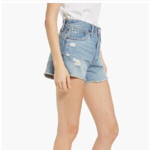 Madewell Destructed Edition Denim Shorts